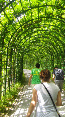 Pathway in Innsbruck