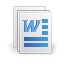 Word File Icon